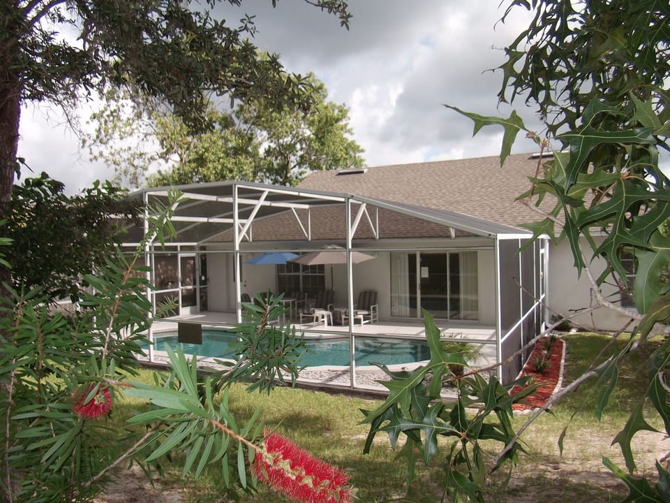rear pool