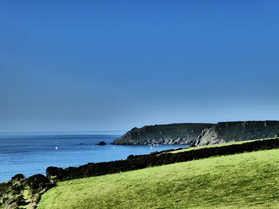 Salcombe Headland, Bolt Head 