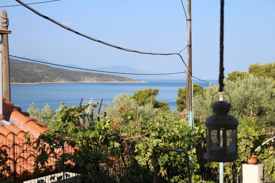 View from the veranta