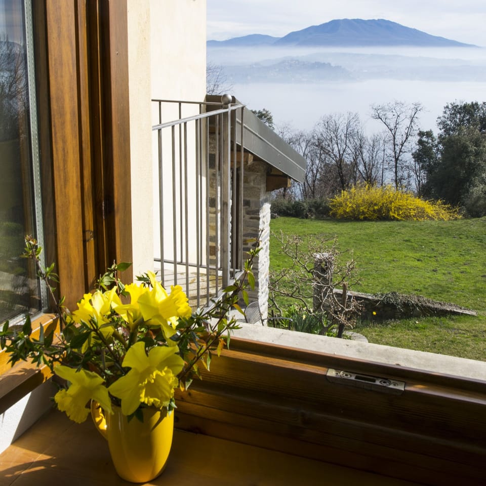 View from first floor window