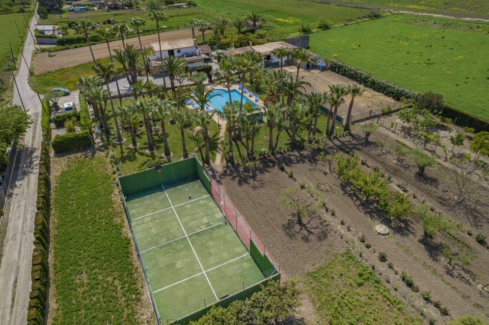 Sport court