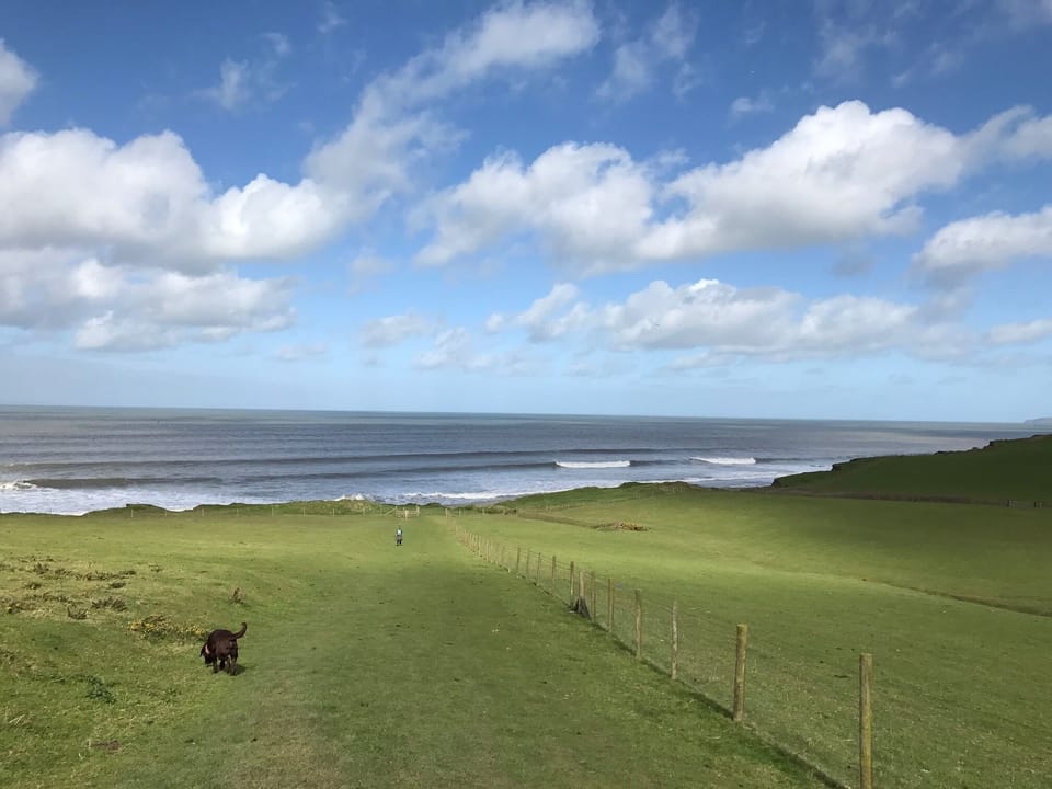 Beach from back garden