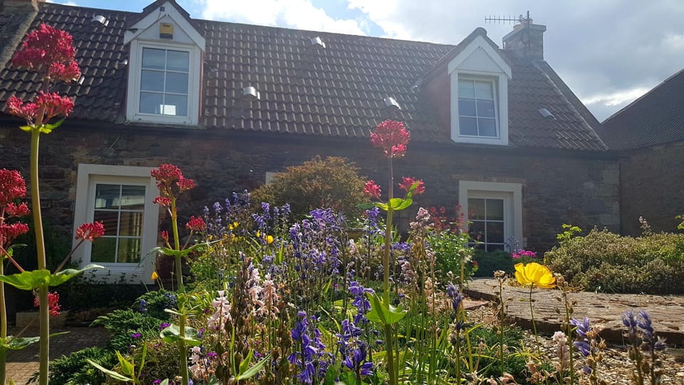 Cottage garden in the sun