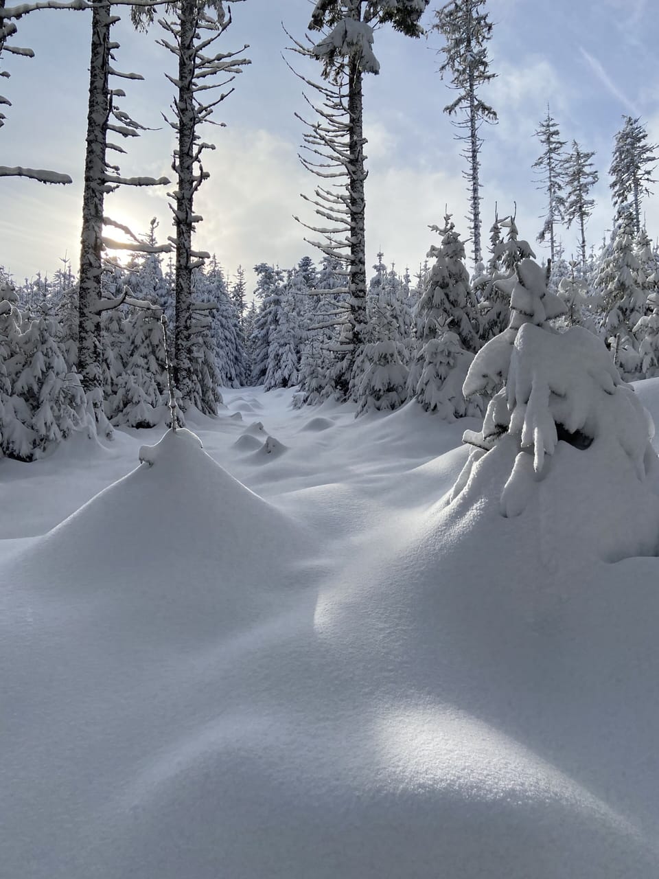 Snow and ski sports