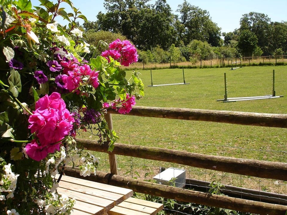 View over adjoining fields 