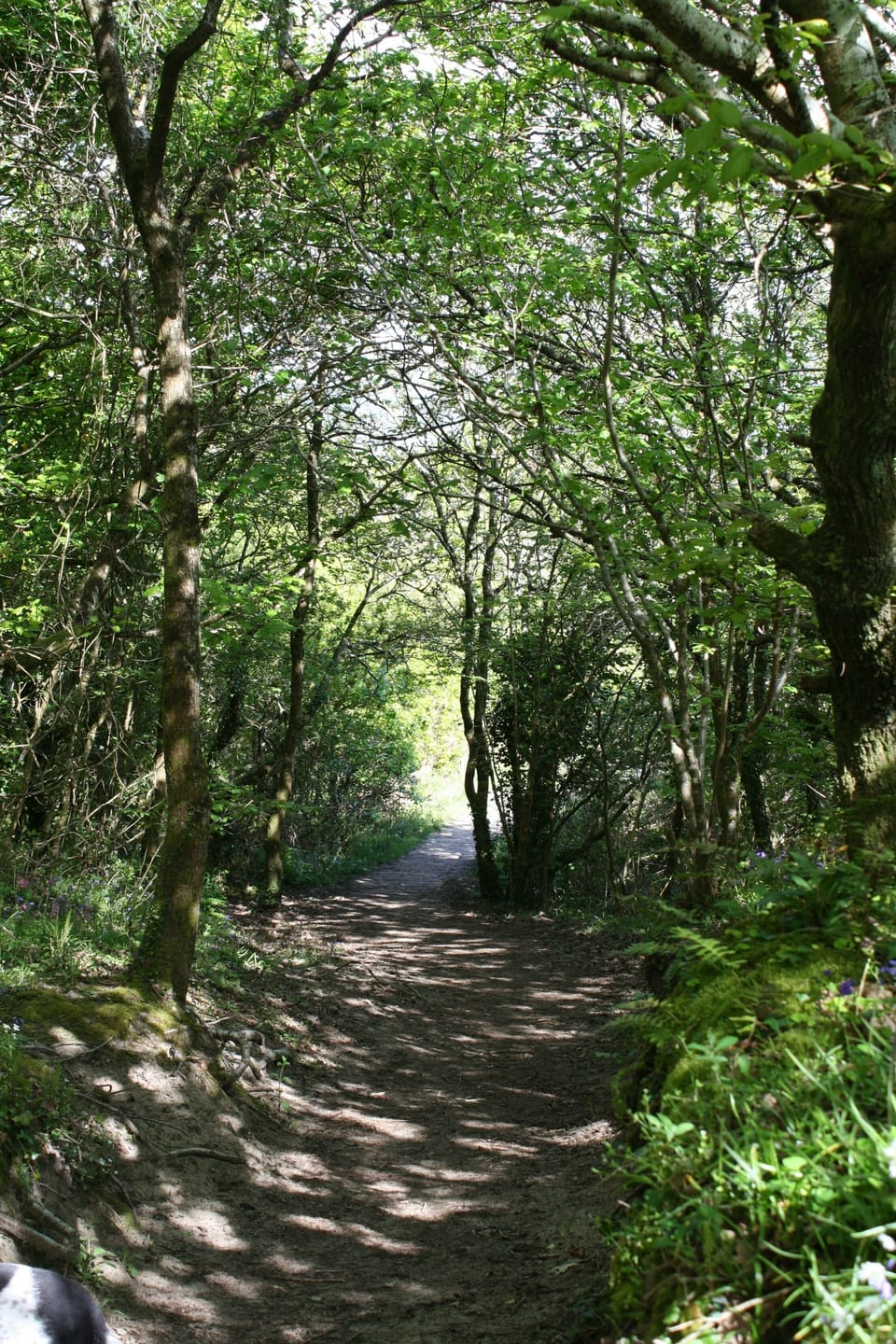 Walking down to the beach