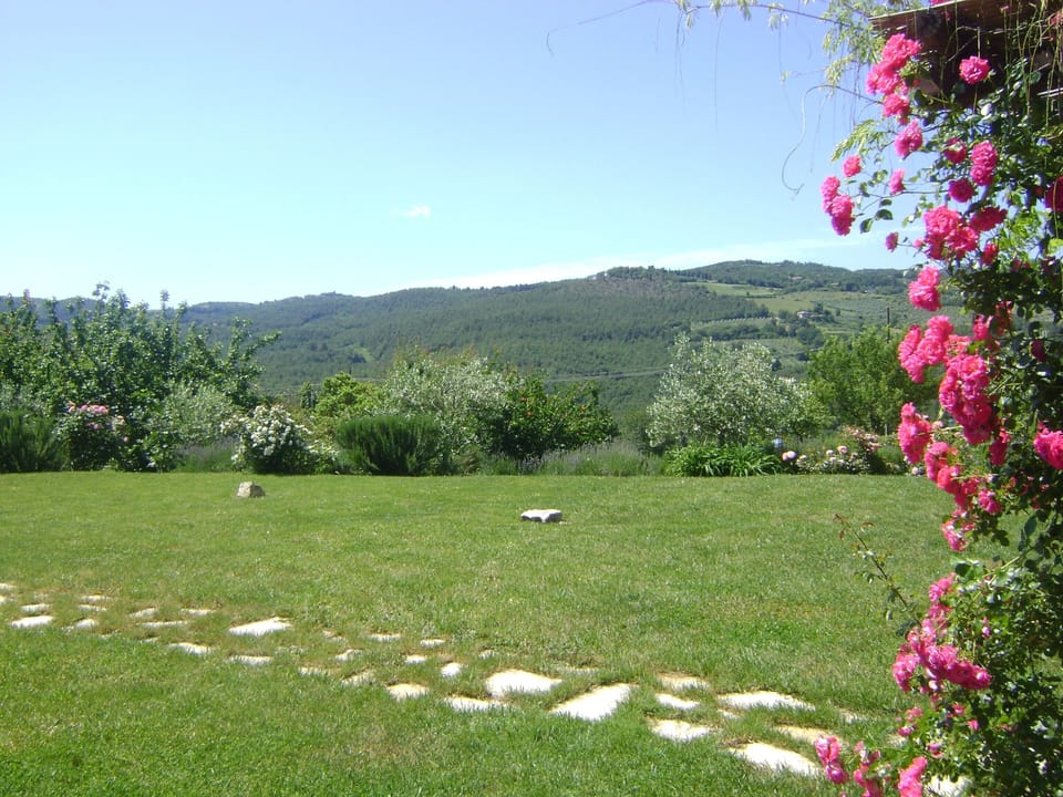 View from terrace