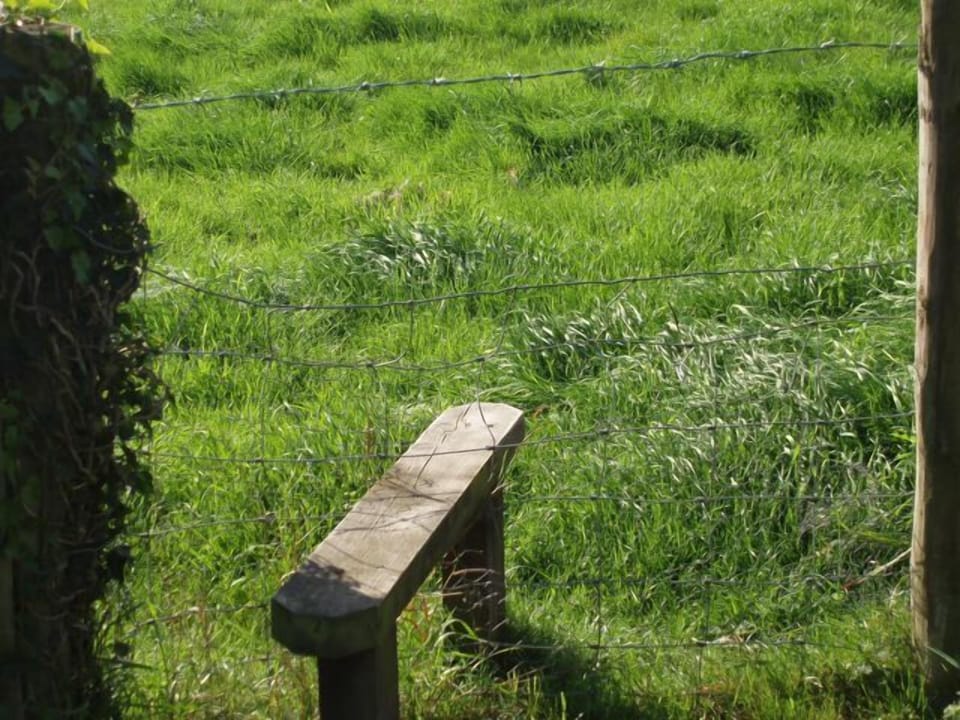 Lots of pretty walks from the garden into the village or country.