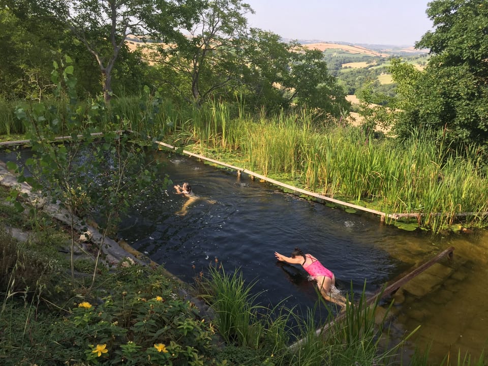 Swim in our beautiful natural swimming pool with the dragonflies and lilies