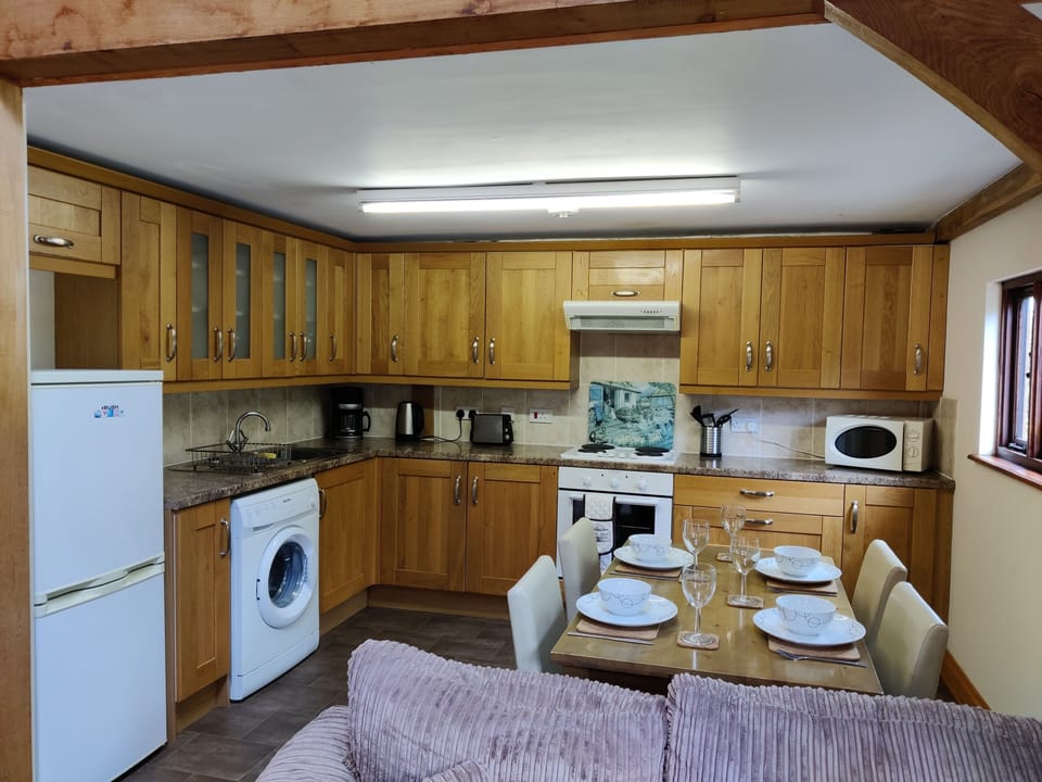 A fully fitted kitten