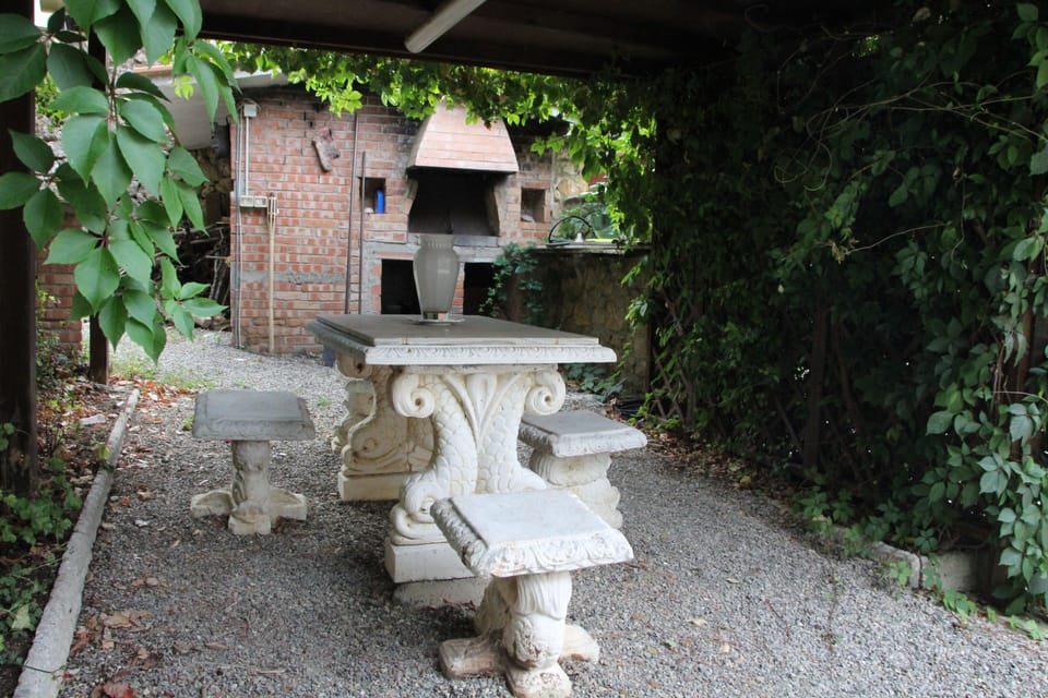 bbq area and stone oven for pizza and bread