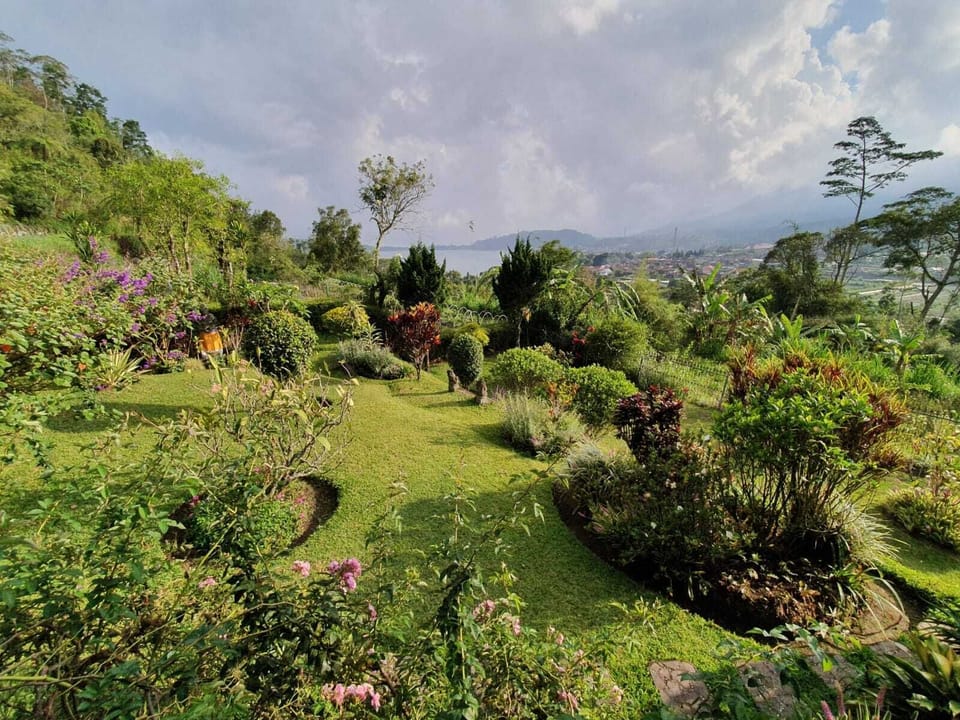View from sun terrace