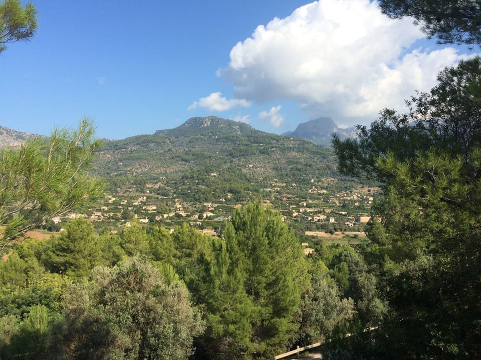 View to Ses Llimoneres from road to Deia.