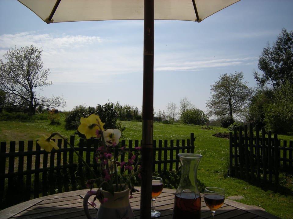 View of main garden from Gite.