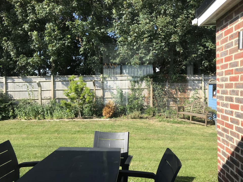 back garden 