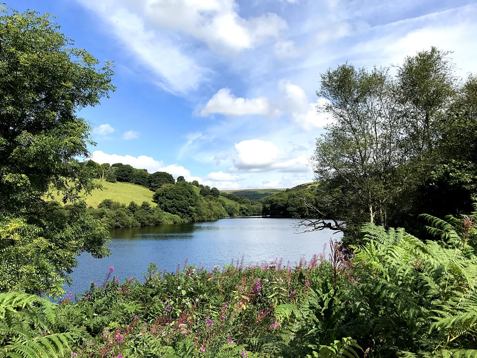 The tranquil Lliw resevoir