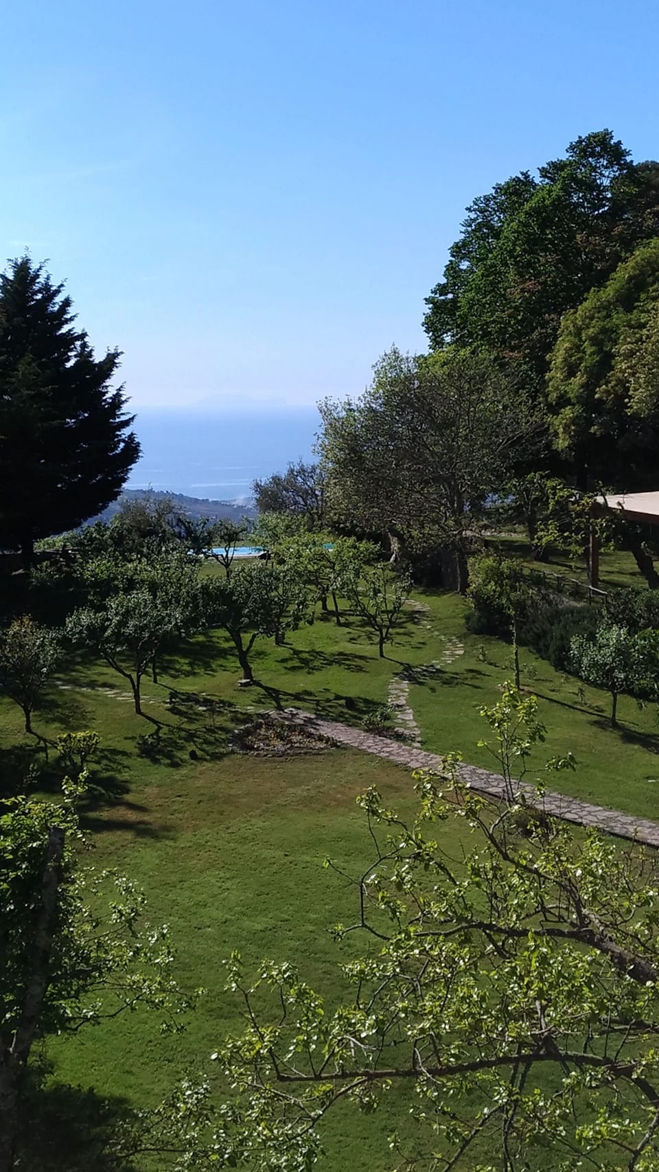 A view on the garden