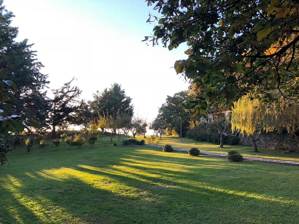 The first part of garden