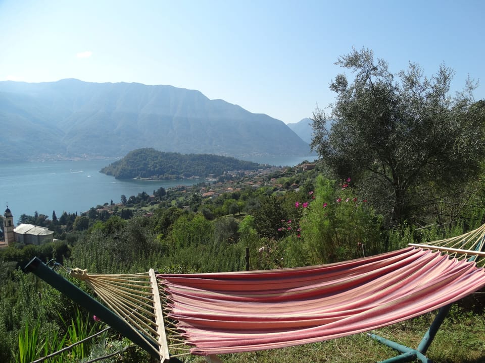sunny relax