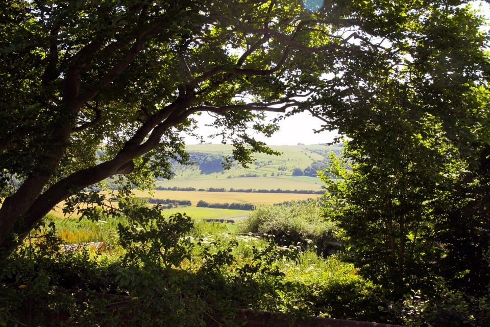 Views from your bedroom window.