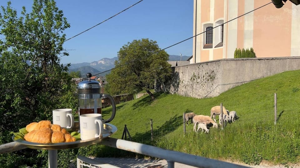 Sit on the balcony, relax and watch the sheep graze. So calming. 
