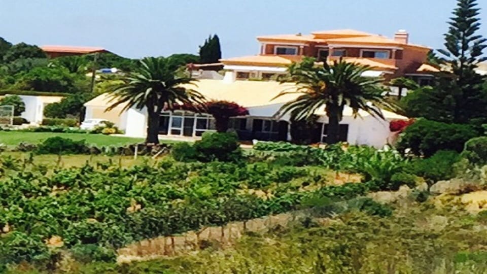 External view of the villa and vineyard