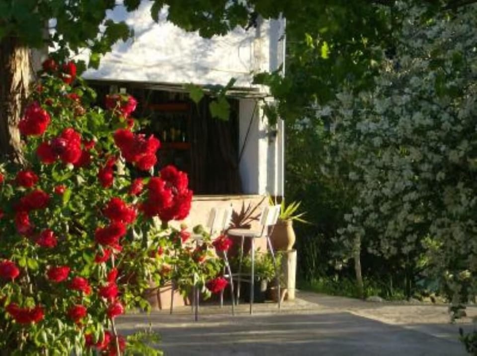 Terrace / Balcony