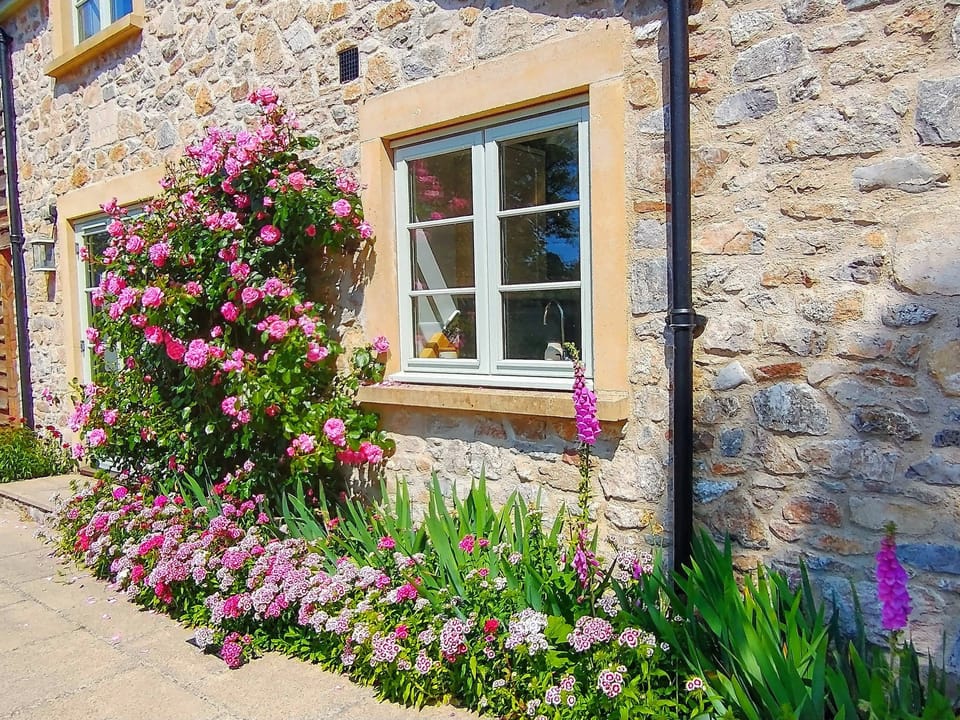 Cottage in June
