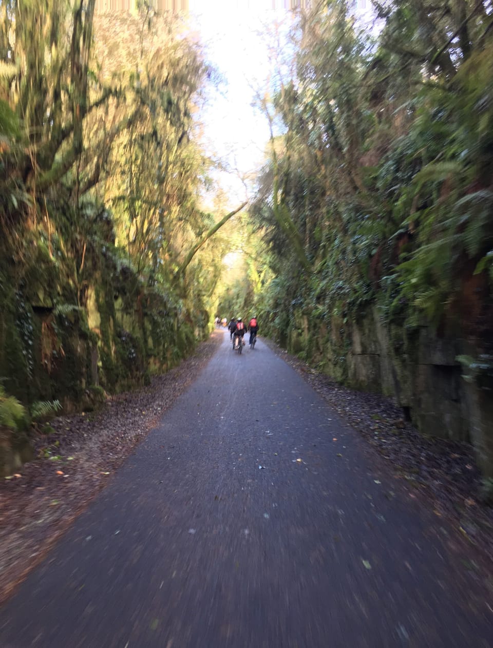 A beautiful place to cycle.