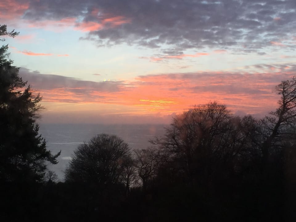 Looking out from the lounge - winter sunrise