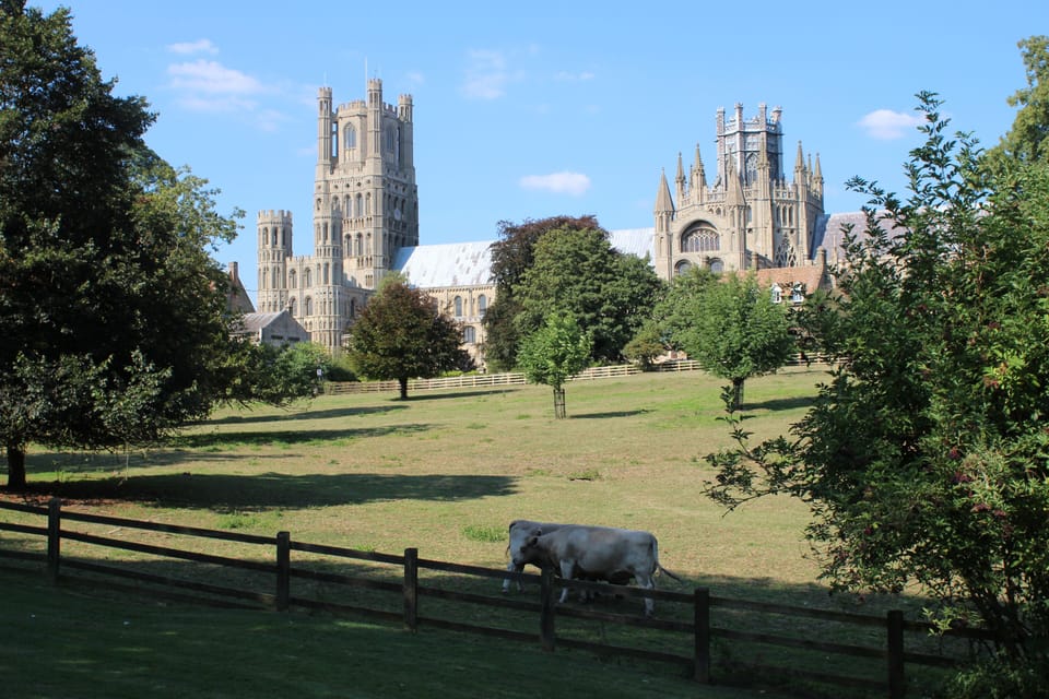 Cathedral from Cherry Hill Park