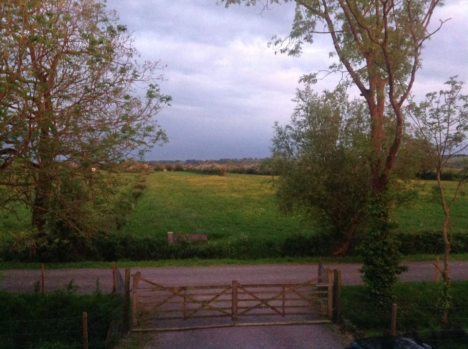 View from bedroom 3.