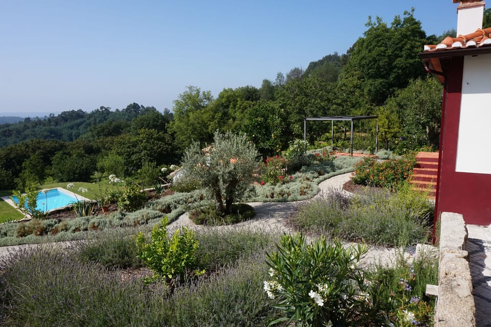 View gardens form courtyard