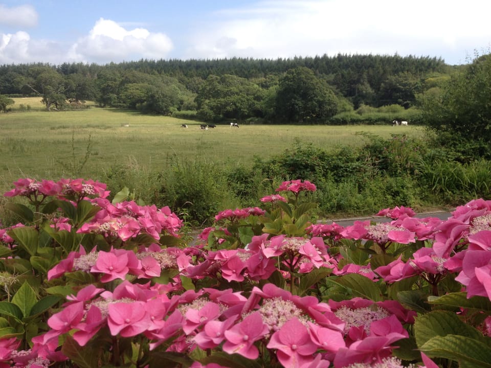 view from the front garden -The Pink House Lulworth rural holiday home from ho