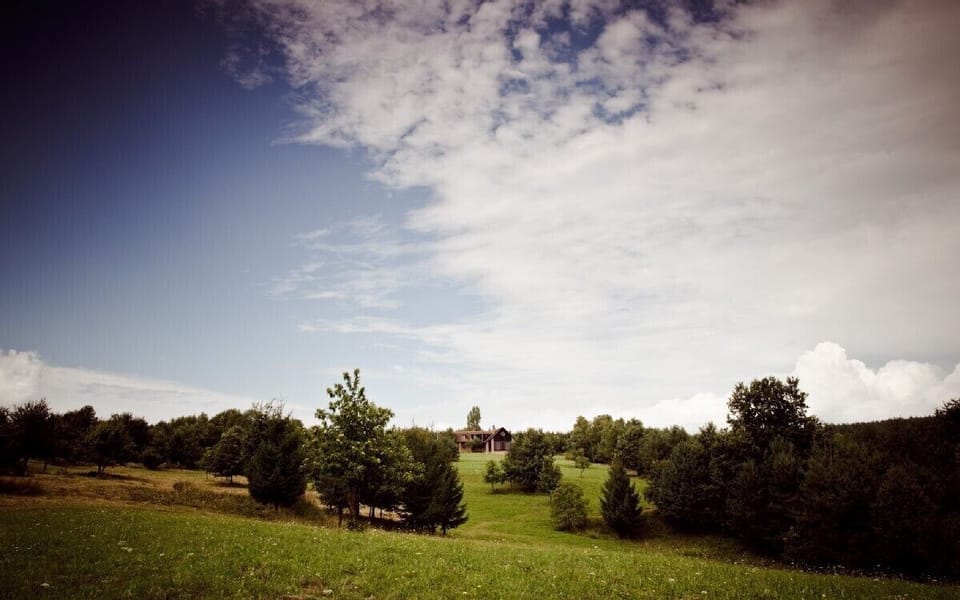 Another picture of the land attached to the property on a beautiful summer day