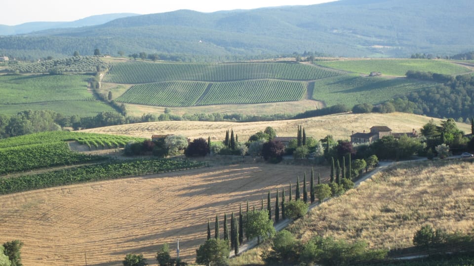 Far reaching view from garden