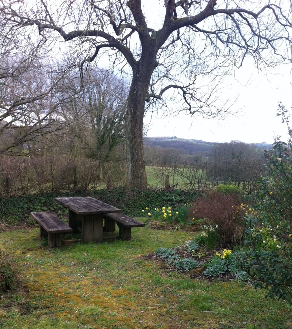 Cottage Garden, early Spring