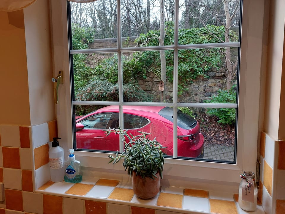 view from the kitchen window