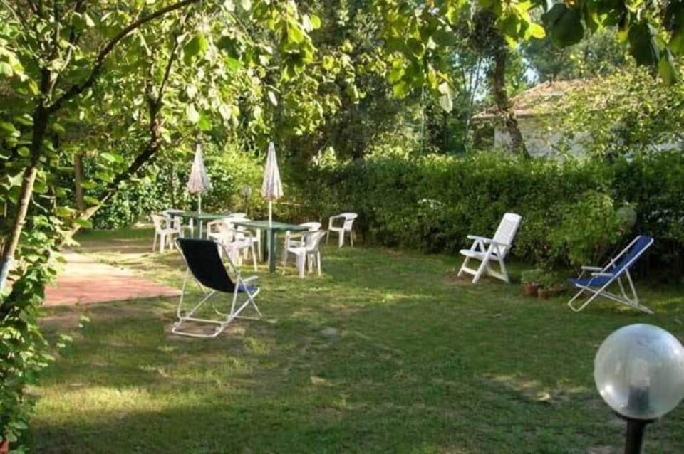 Garden, Park