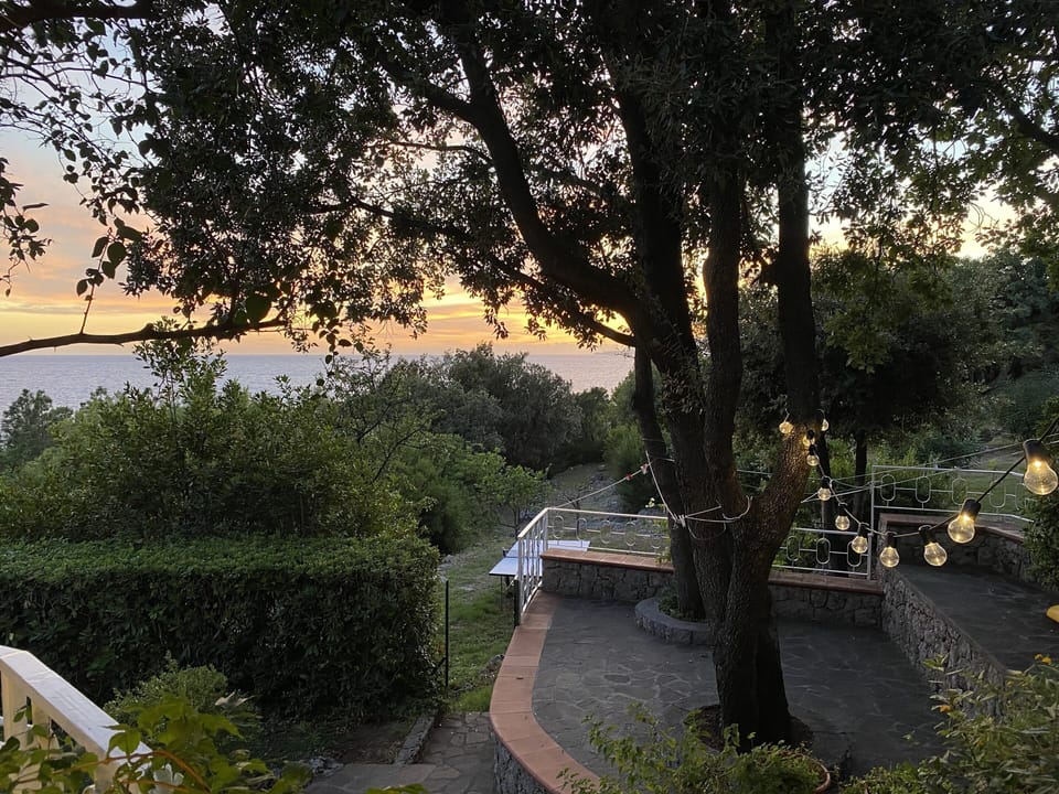 Garden in evening