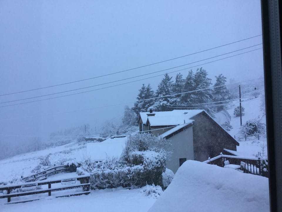 Snowy weather 
