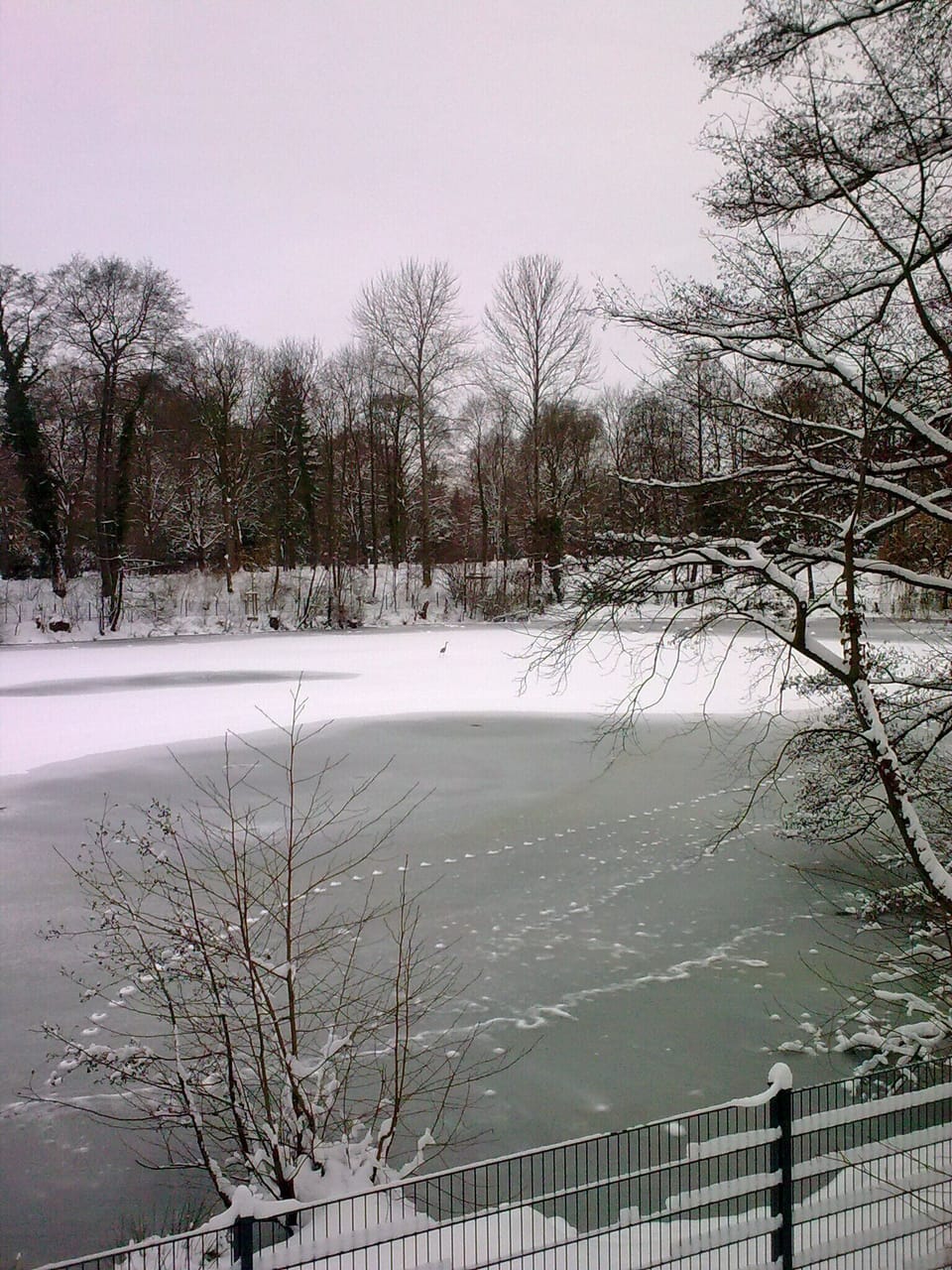Ploetzensee - even in winter a great place to take a walk - 1 km away
