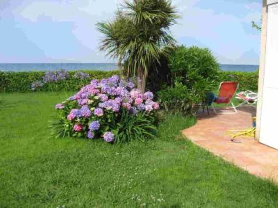 Garden, Park