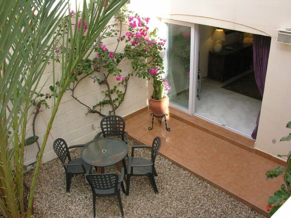The Garden