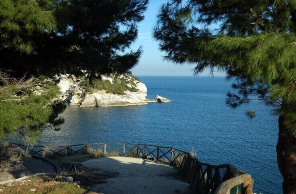 A nice view in the area