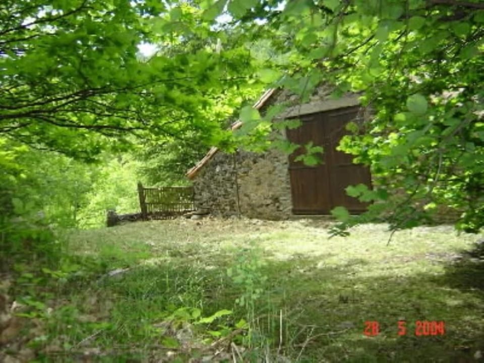 Garden, Park