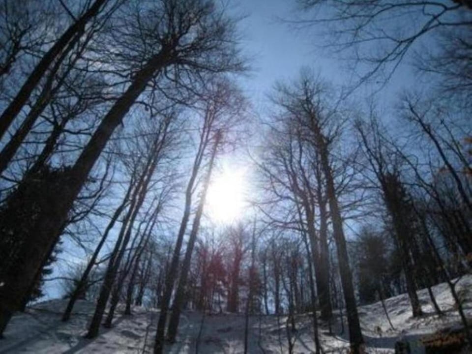 Plitvice - March 2009