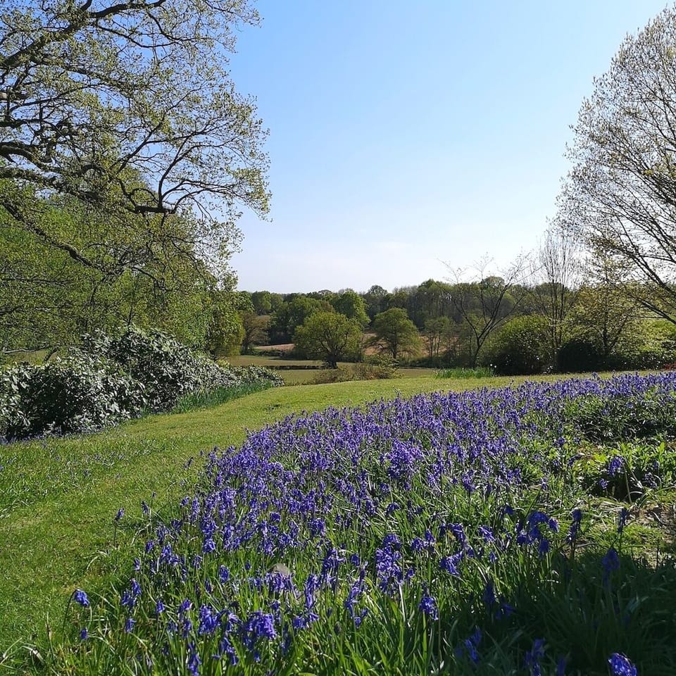 View across the garden to farmland