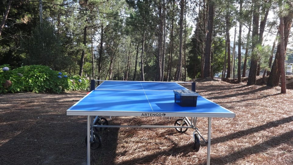 MESA DE PINGUE PONGUE DISPONIVEL