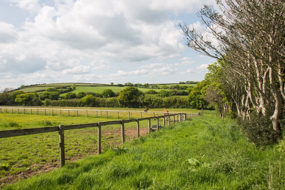 Acorn Cottage is nestled in the beautiful Devon countryside